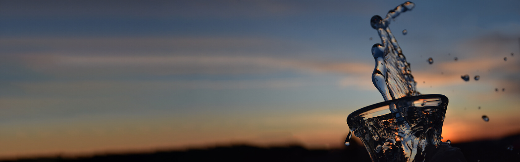 'Cane' Trinkflasche - Banner 