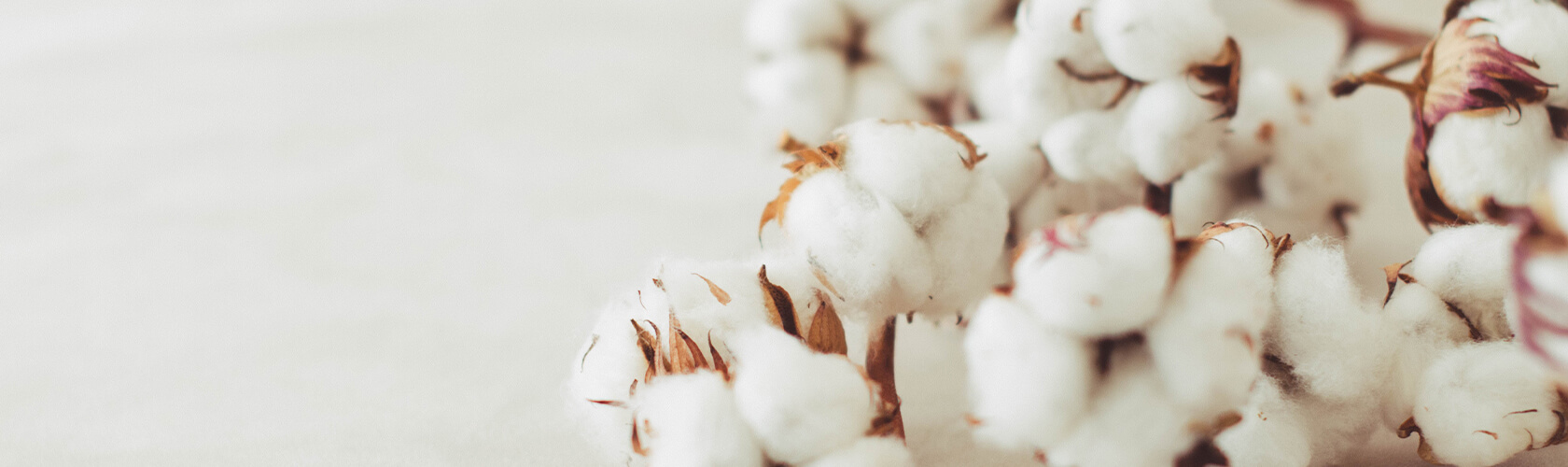 Nachhaltige ♻️ Basecap 'Onyx' mit Logo Stick - Banner 