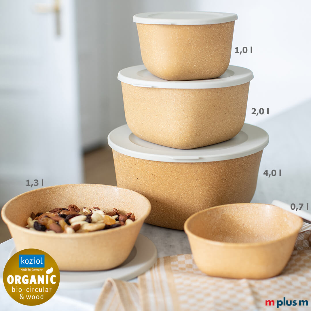 Koziol Connect Box 1,3l in verschiedenen Größen