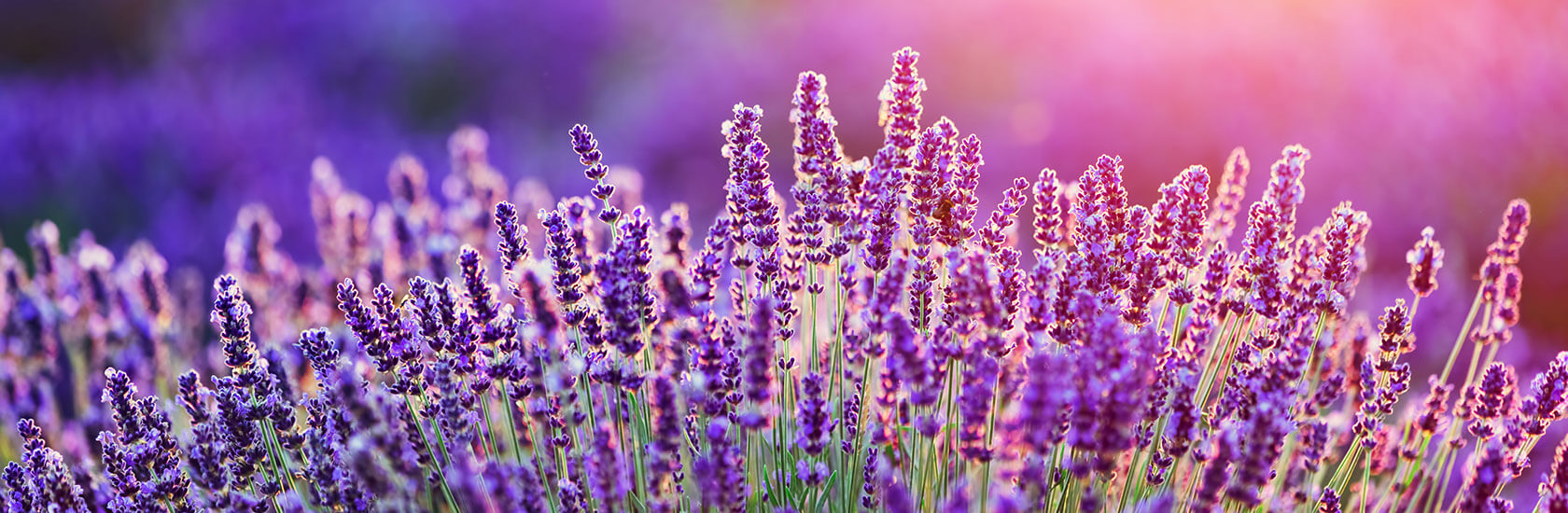 Duftsäckchen aus Deutschland - Banner 