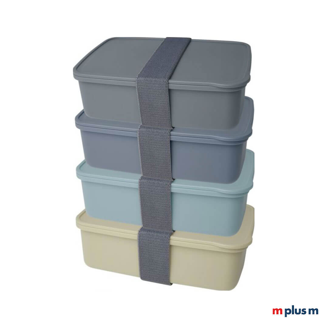 Recycling Brotdose Seppo in 4 Farben