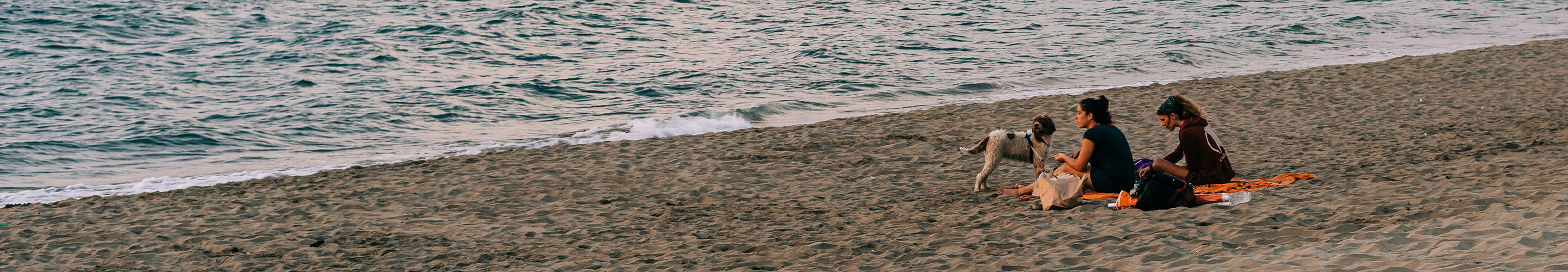 Schöne Recycling Strandtasche mit Logo bedrucken - Banner 