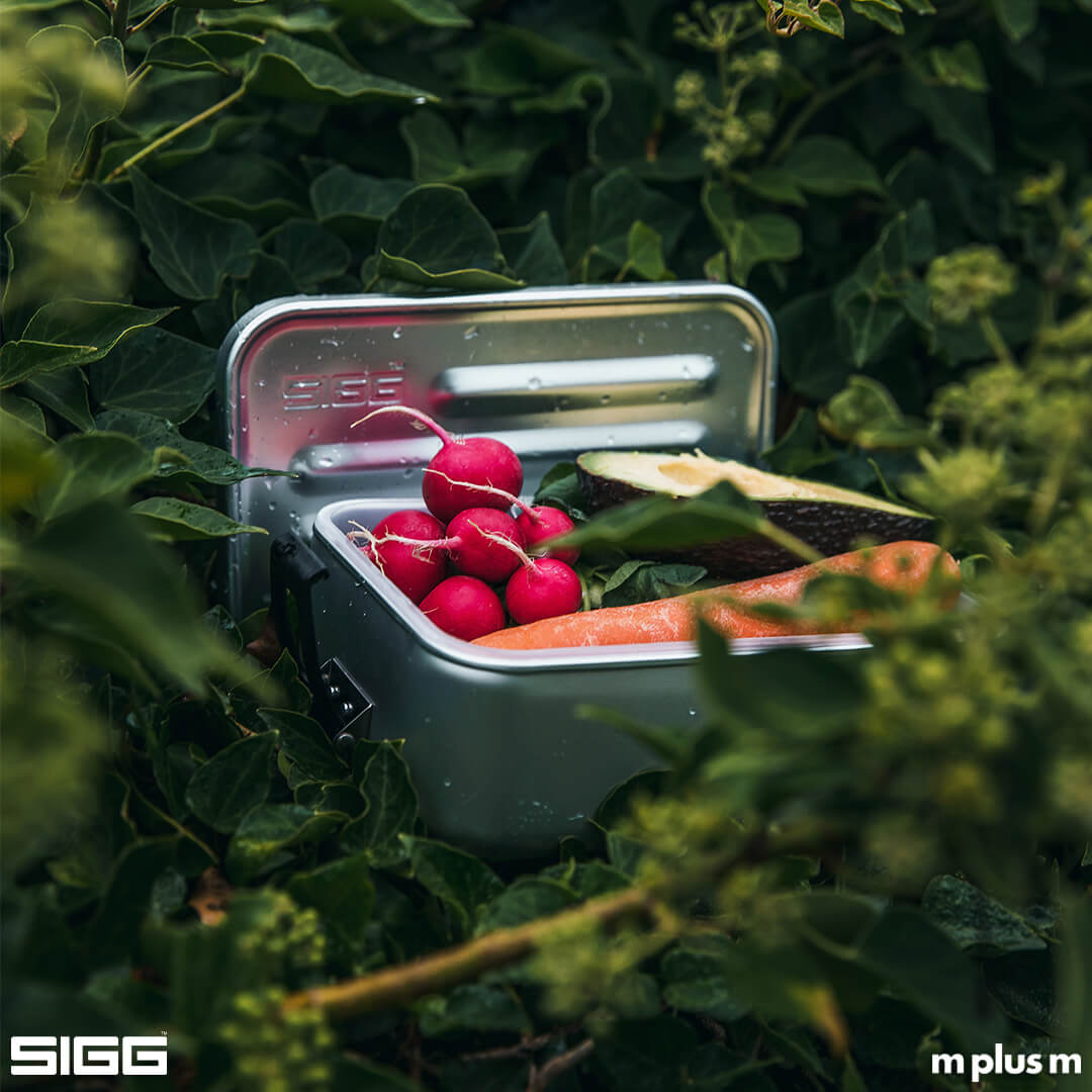 SIGG Brotzeitbox aus Aluminium für Schule, Kindergarten, Wandern, Outdoor