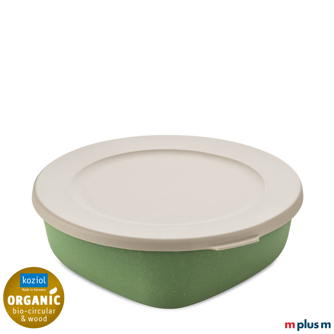 Koziol Connect Box 1,3l in der Farbe Grün/Natur Leaf Green