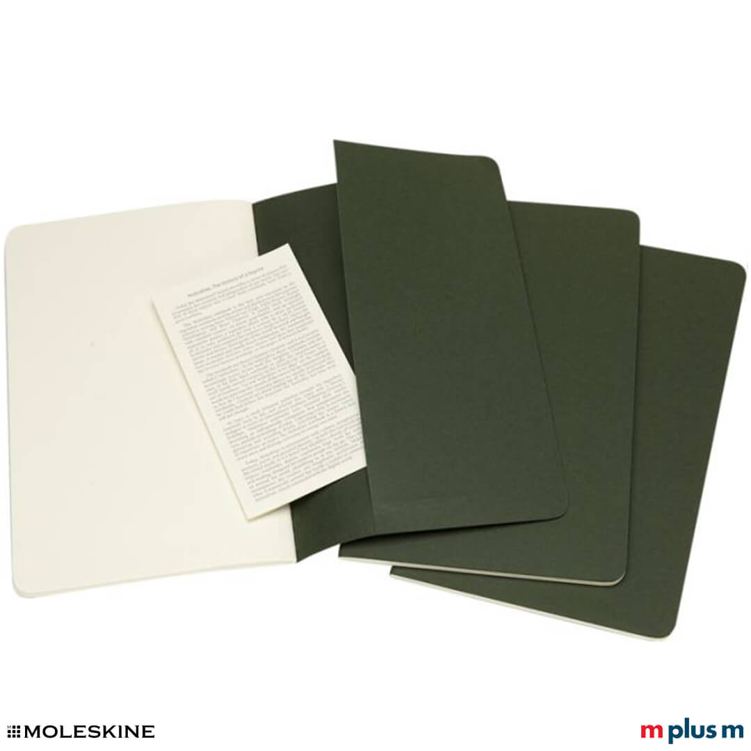 Moleskine Notizbuch Cahier Journal L mit Rückfach